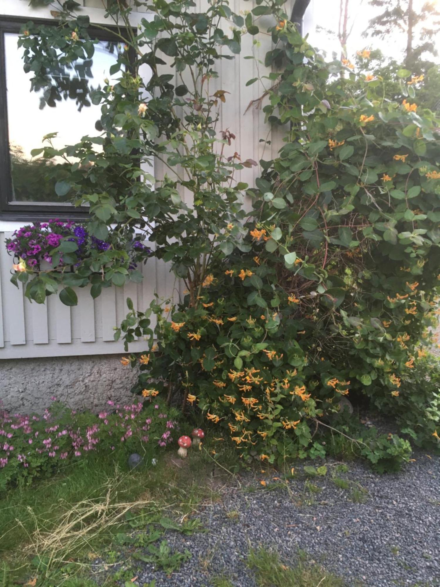 Airbnbekasberg Olofstorp Exterior photo