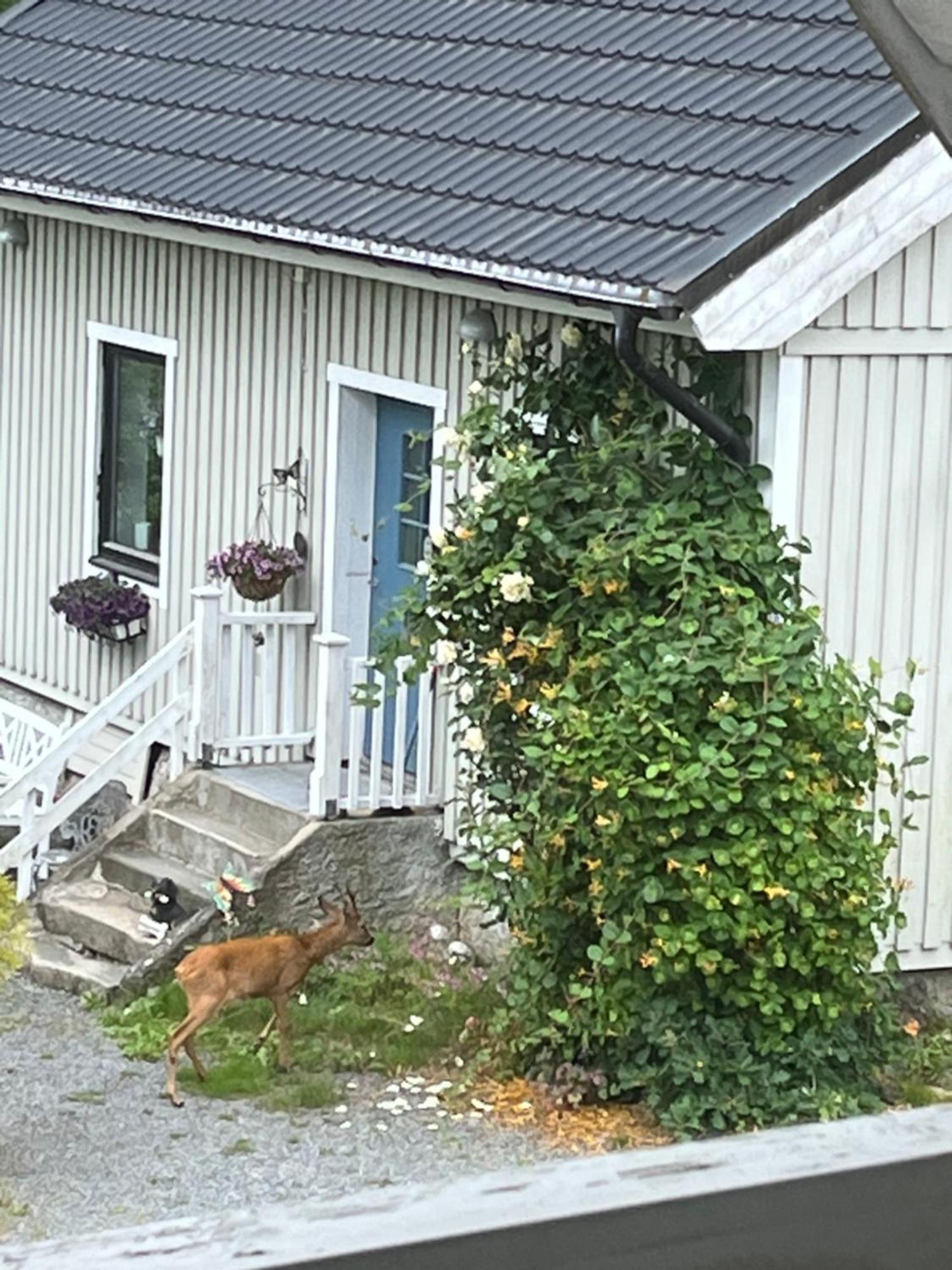 Airbnbekasberg Olofstorp Exterior photo